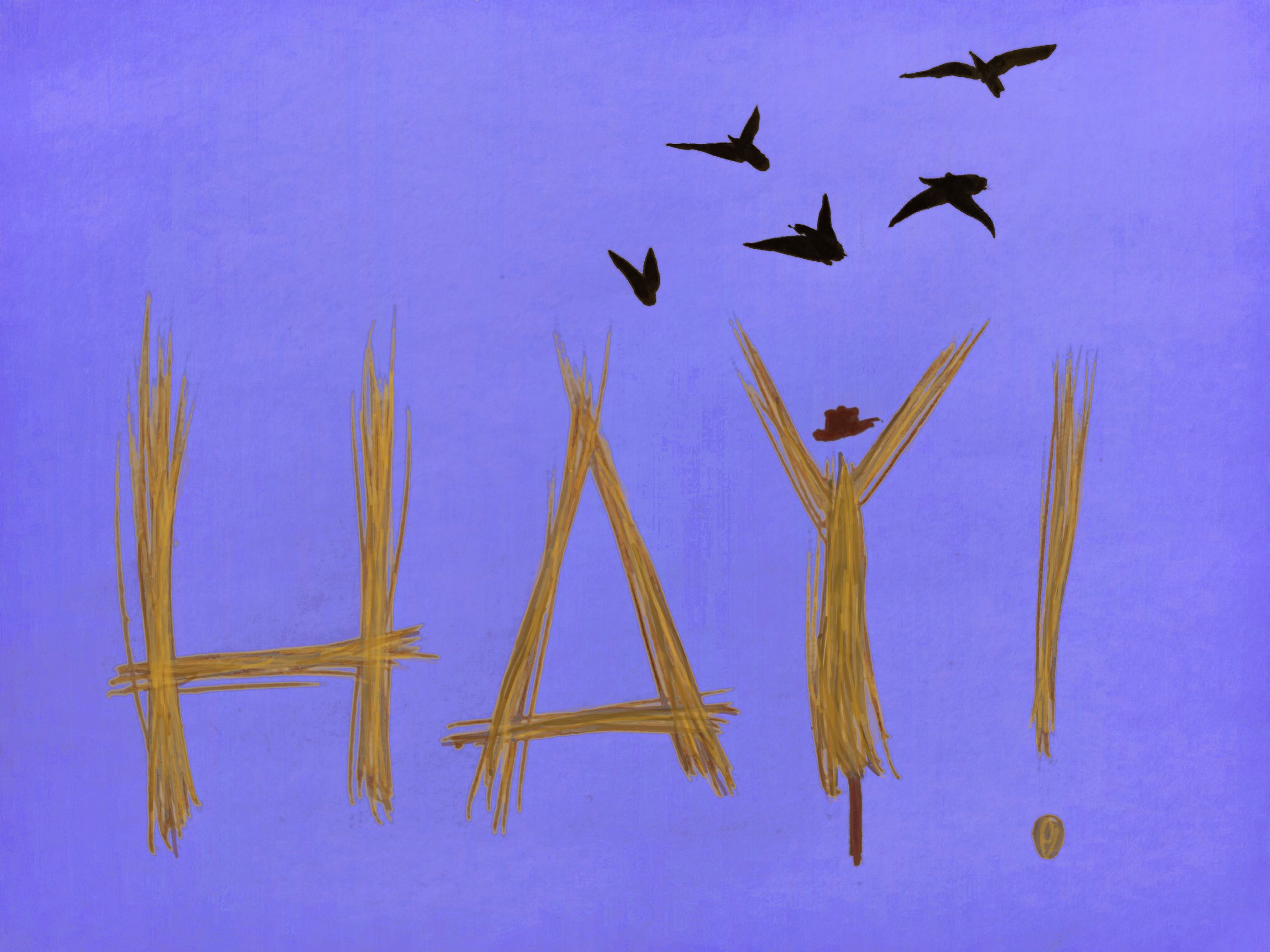 HAY!